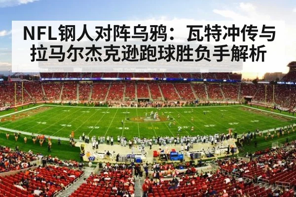 american football stadium crowd