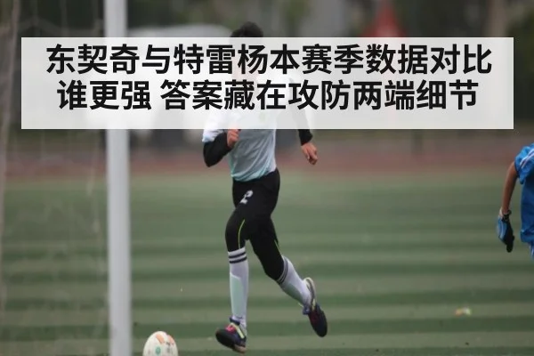 东契奇与特雷杨本赛季数据对比谁更强 答案藏在攻防两端细节